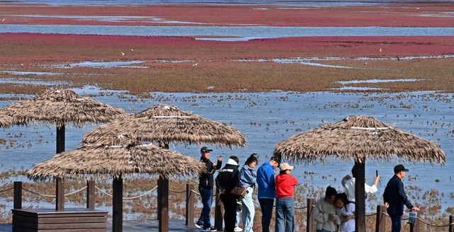中國最北海岸線旁的「紅色海灘」。