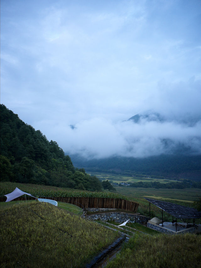 這家民宿有溫度和包容｜不排斥 全然接納才是真正的寵物友好。