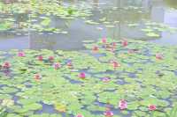 宛如一條銀色綢帶的景觀橋~~元蕩湖。