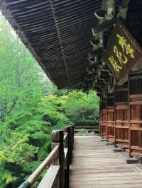 日本姬路城-書寫山圓教寺。