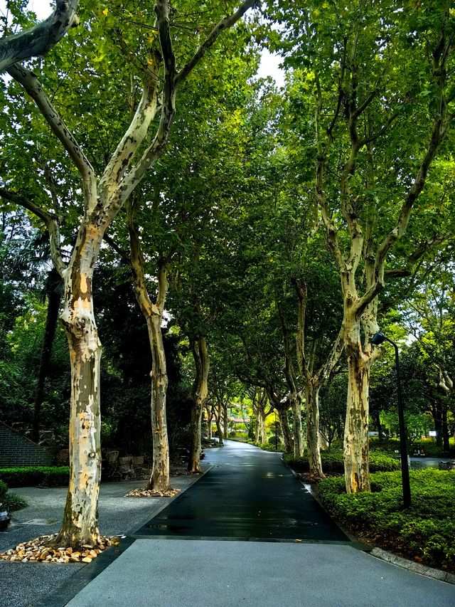 蛻變——和平公園。