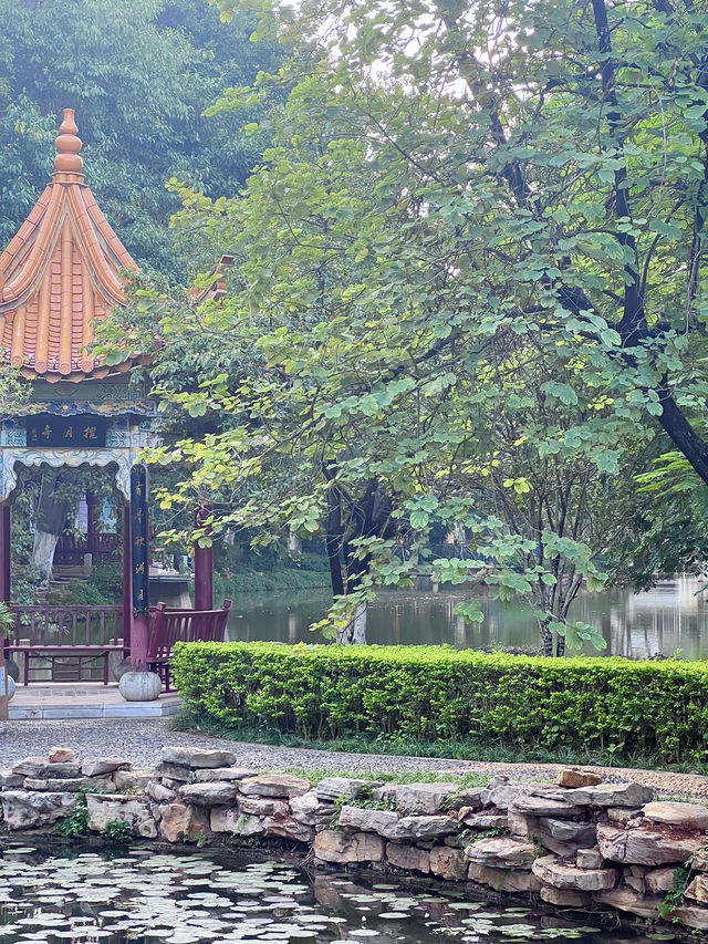 開遠瀘江公園。。