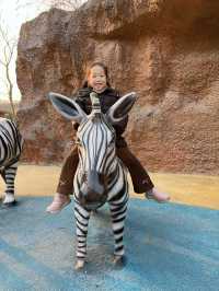 富陽｜看動物、玩樂園、觀演出、坐火車，一票全享。