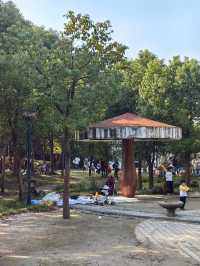 可以衝嘉北郊野公園的稻田（附保姆級攻略）。