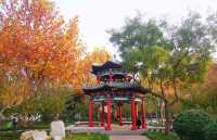 安丘市人民公園。