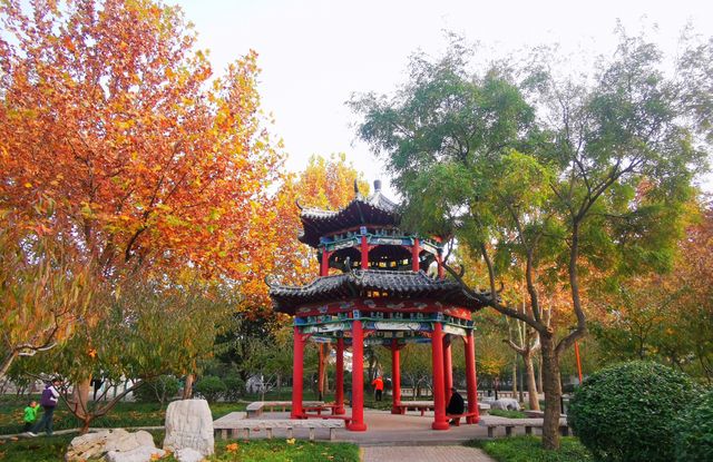 安丘市人民公園。