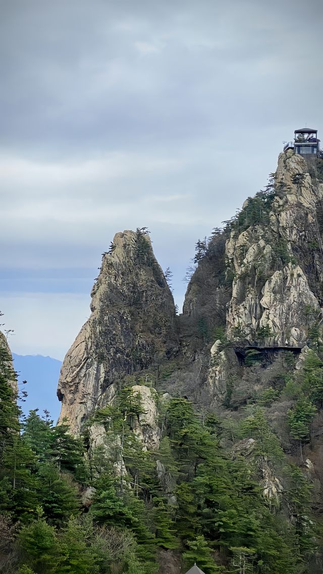 南陽老界嶺，高山之巔的夢幻之旅！。