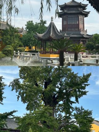 Oh my god, I found a hidden gem in Wujiang!