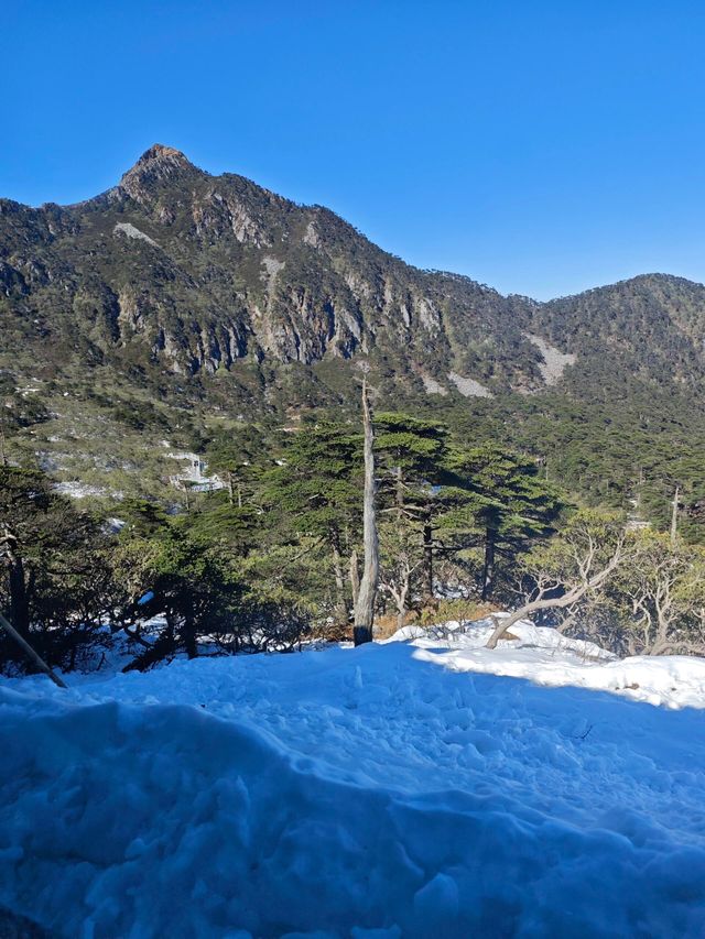 小小蒼山！拿捏！！《附攻略》。