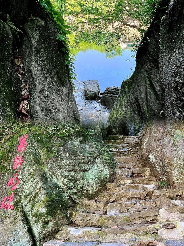 就在南京！！！這個人少景美的果凍泉好絕。