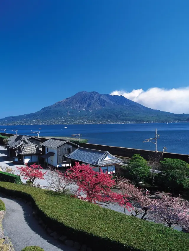 5 Days in Japan: The Ultimate Guide!