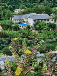 周邊小眾悠閒避暑地。