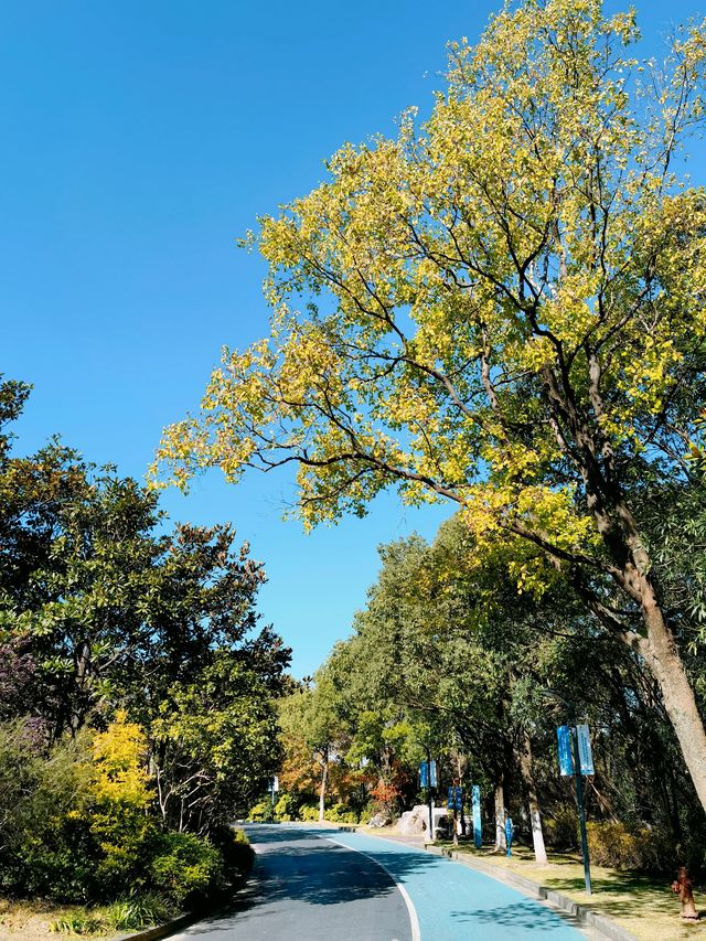 上海寶山，吳淞炮台灣國家濕地公園。