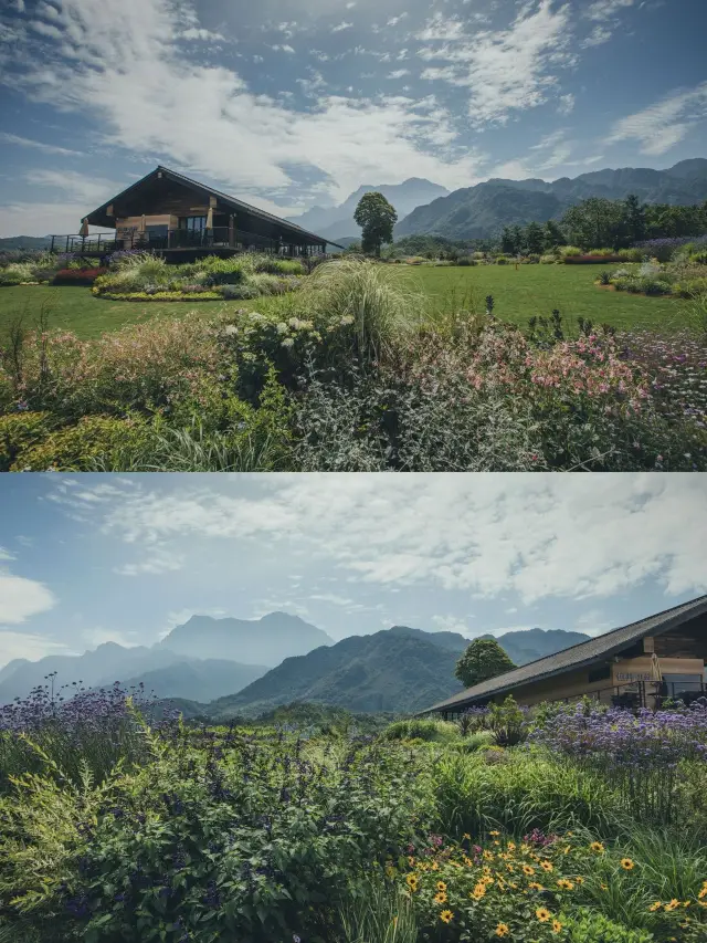 Chengdu | This hotel is highly recommended! It's so worth it. 