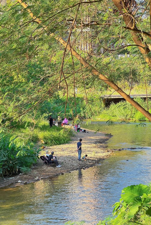 深圳南灣樂清公園