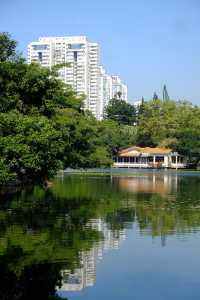 好像遇到了綠光森林！不敢相信這是荔枝公園