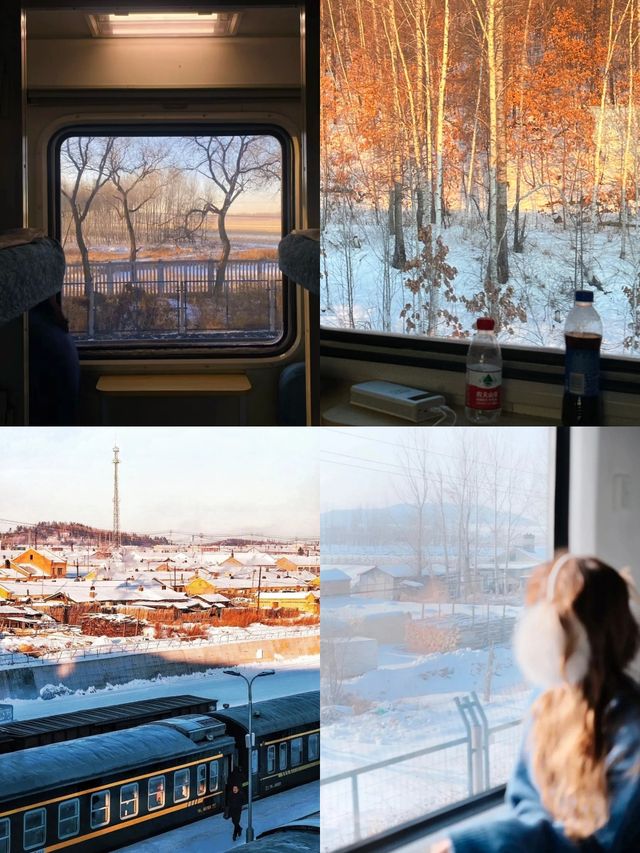 漠河4天|坐着雪國列車去追極光太絕了。 漠河4天|坐着雪國列車去追極光太絕了。