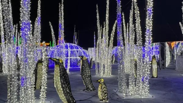 The Illumi Light Show in Mississauga, Canada