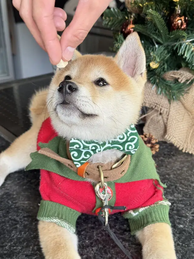 Right next to the subway! A hidden gem of a hotel that you won't want to leave