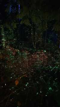 Capilano Suspension Bridge Park's Light Show