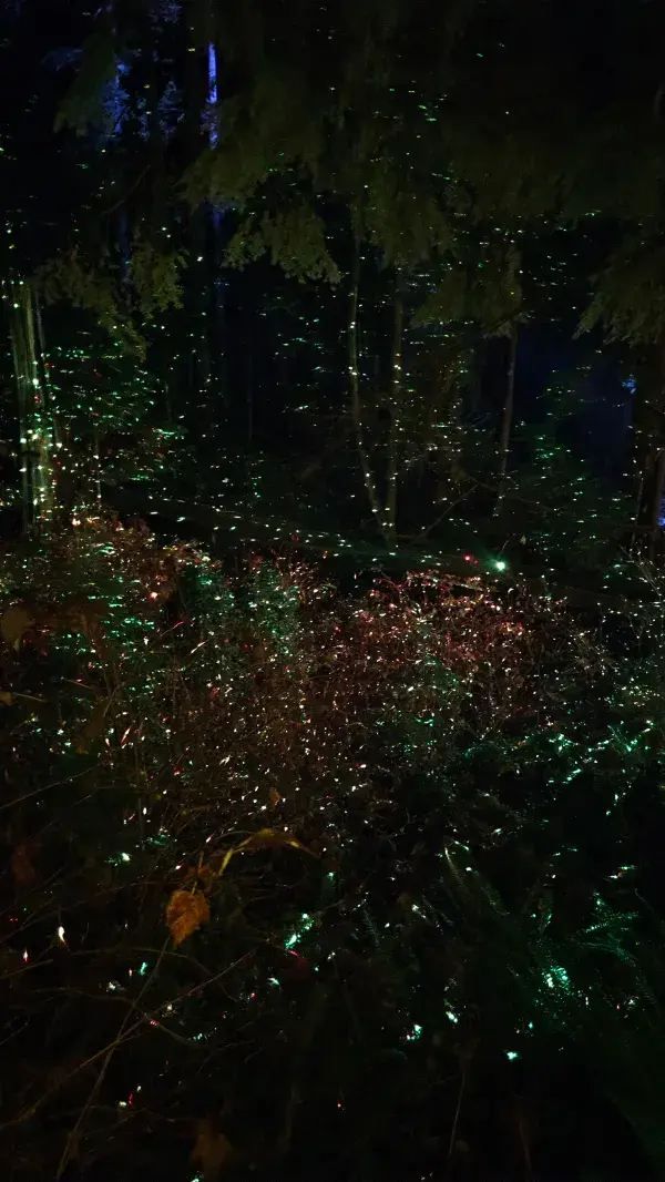 Capilano Suspension Bridge Park's Light Show