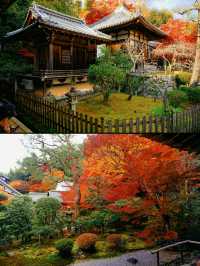 京都·二尊院紅葉的馬場｜體驗和服之美！