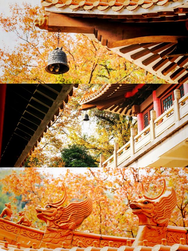 廣州周邊遊