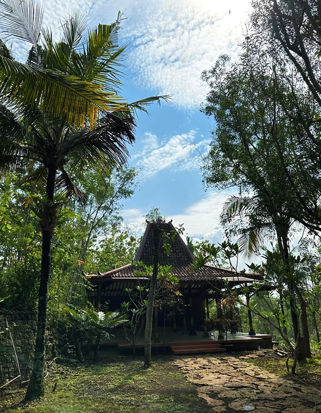 探索自然的秘密花園｜馬格朗市 Jomblang 洞穴的奇妙之旅