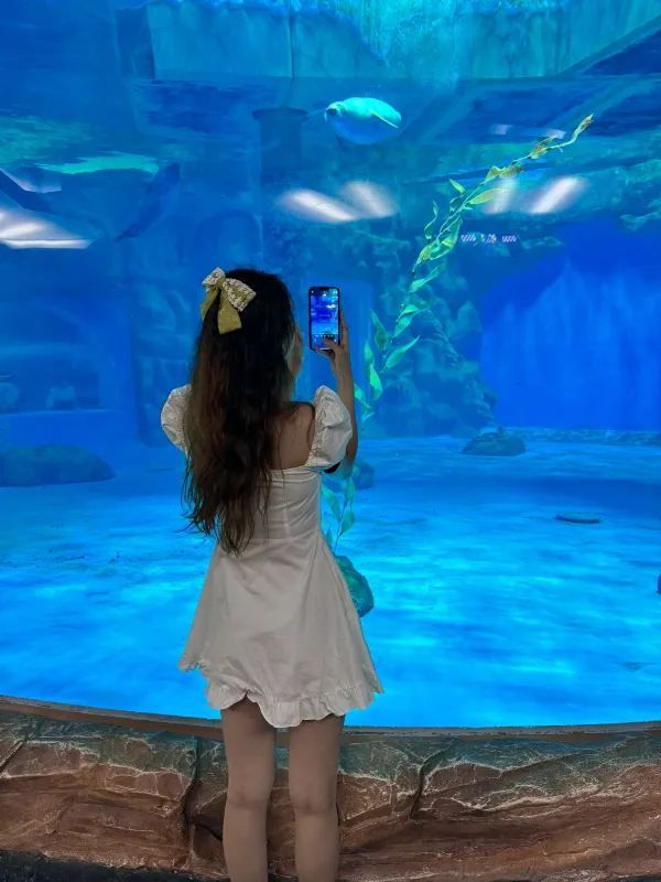 Hong Kong Ocean Park is Perfect for Cloudy Days!