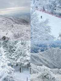 勇闖平昌郡 ，保姆級攻略，建議直接抄