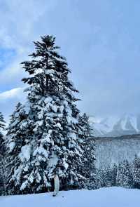 札幌藻岩山（Moiwayama）滑雪場
