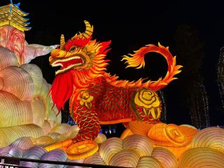The Zigong International Dinosaur Lantern Festival opened on January 17. The lantern show is great!