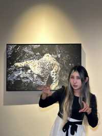 深圳新展係大自然畀嘅心頭一擊！！！