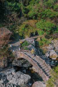 新春反向旅遊｜浙江人有自己的「九寨溝」