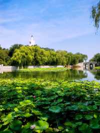 跟着音樂去旅行｜讓我們盪起雙槳，北京北海公園