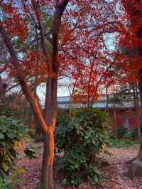 珠海-中山3日遊 盡享溫泉之旅舒緩身心