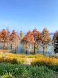 郴州-長沙7日深度遊 玩轉兩地不踩雷