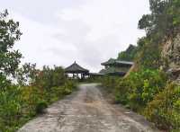 大北山國家森林公園｜揭陽的綠色寶藏，等你來「挖」