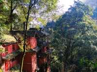 Discover Qingchengshan: Sacred Temples, Stunning Views☯️