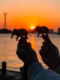 廈門旅遊｜看完夕陽，欣賞燈會