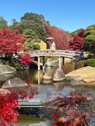 Don't just visit Osaka and Kyoto! Sakai, Japan is a hidden gem!