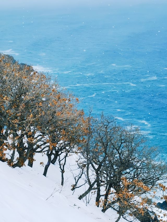 冬日小樽必打卡！祝津展望台的夢幻雪景
