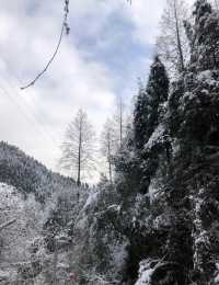 四川神瀑溝景區