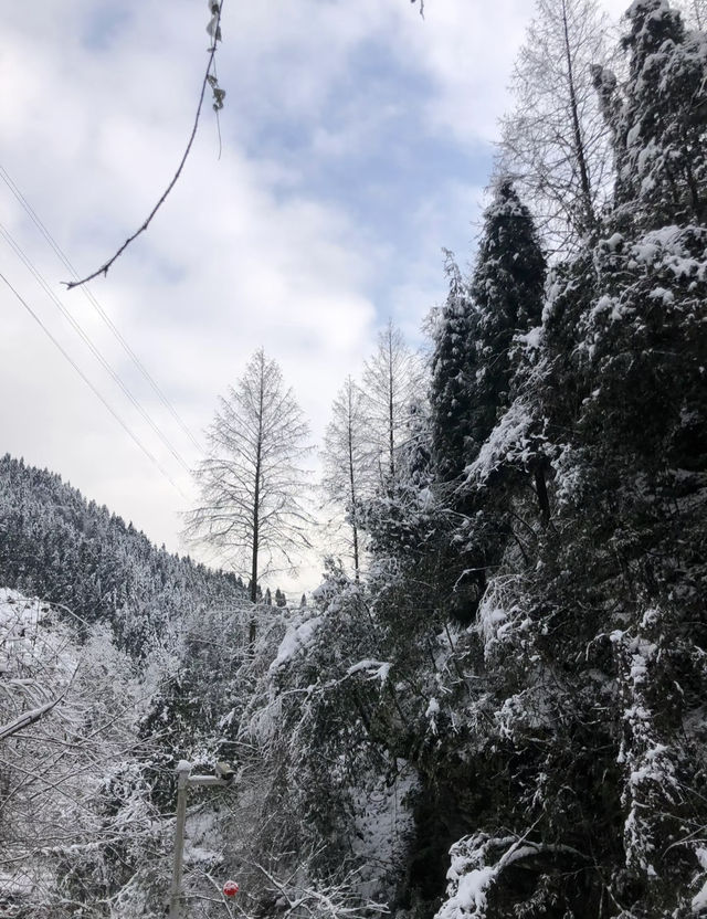 四川神瀑溝景區