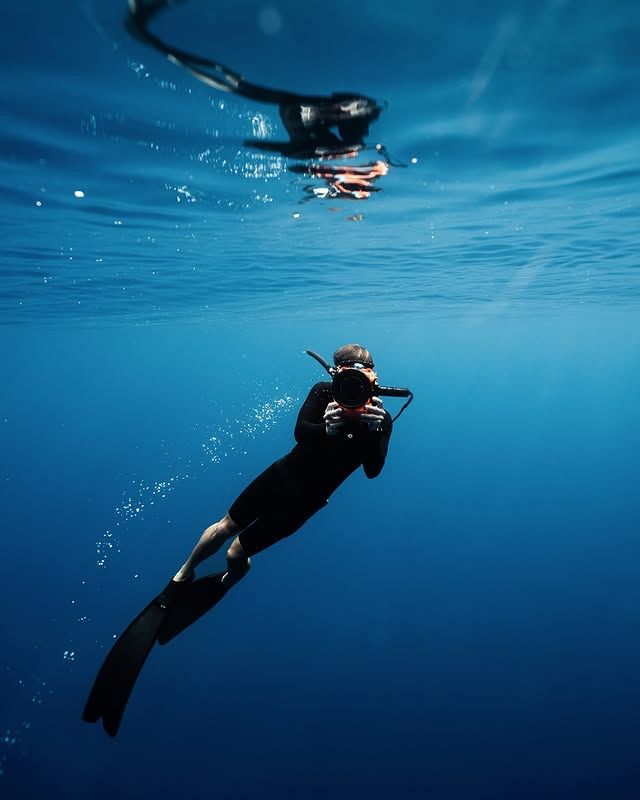 海洋奇觀：赫維灣海洋探索中心與鯨魚之旅