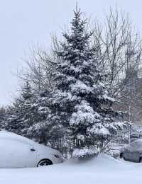 邊境線上的冰雪王國｜黑河
