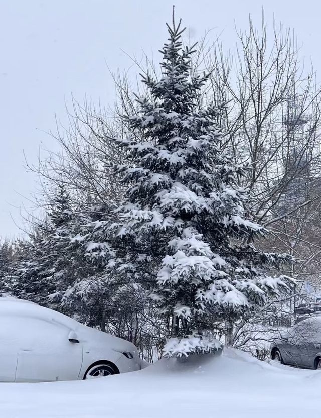 邊境線上的冰雪王國｜黑河
