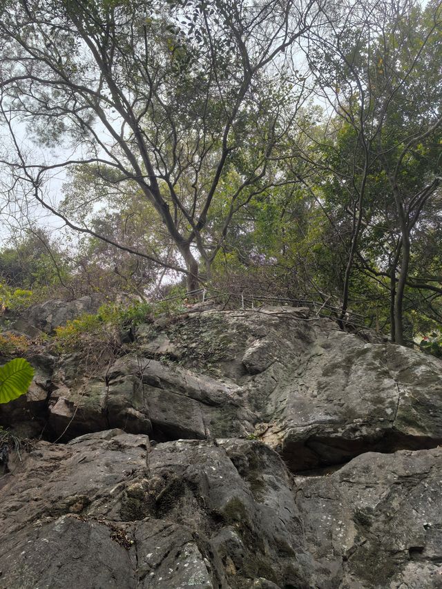 春來尋夢石竹山