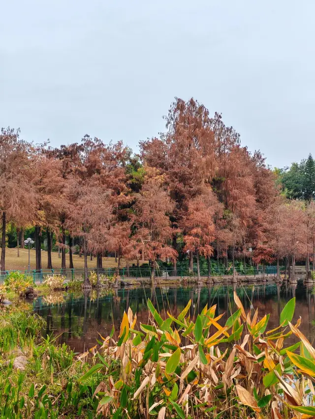 Shenzhen 2-day tour: Must-see attractions