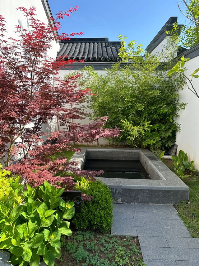 欒川新年遊 超詳細攻略來襲